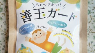 乳酸菌サプリメント「善玉ガード」ってどんな感じ?実際に親子で食べてみた